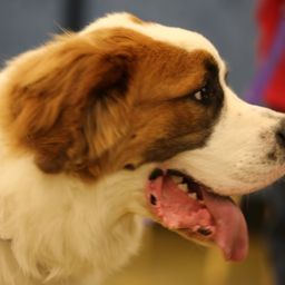 photograph by PeterW